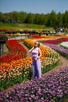 A young woman in a pink suit stands in a blooming field of tulips. Spring time