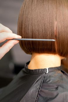 A hairdresser is combing the short hair of the brunette female client in the hairdresser salon, back view