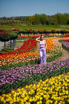 A young woman in a pink suit stands in a blooming field of tulips. Spring time