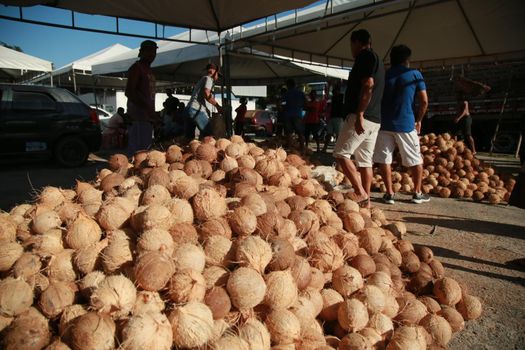 conde, bahia, brazil - october 9, 2021: Dry coconut trade at a fair in the city of Conde, north coast of Bahia.