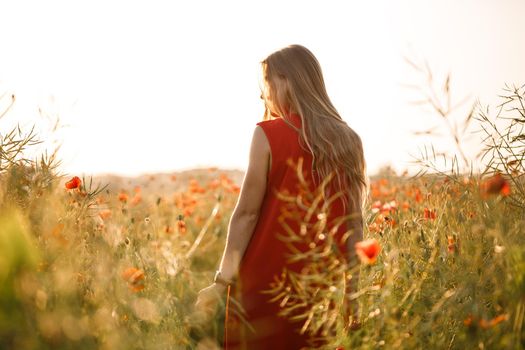 Beautiful woman in a red dress in a field of blooming poppies. Selective focus