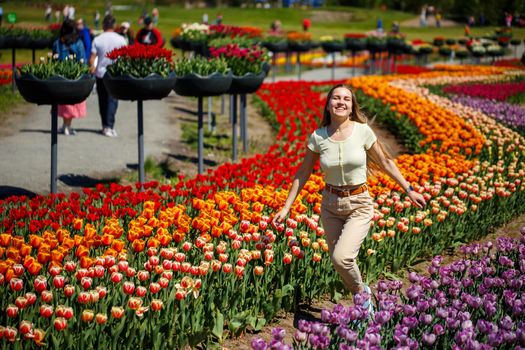 A girl in a white dress runs among the tulips. Field with yellow and red tulips.