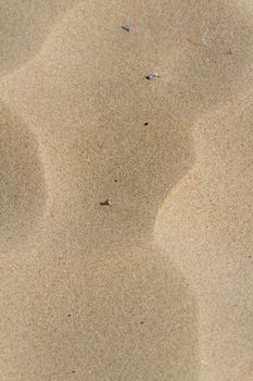 Patterns in the sand on South Padre Island, TX.