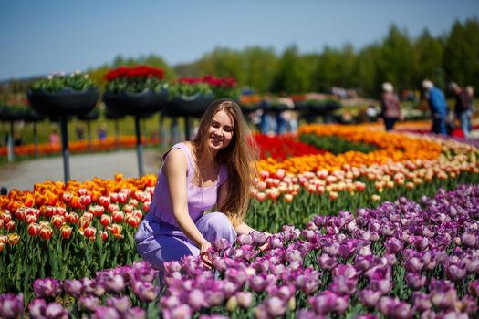 A young woman in a pink suit stands in a blooming field of tulips. Spring time