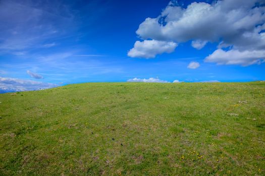 Alpine meadows landscape at springtime in Dolomites alps, near Austria