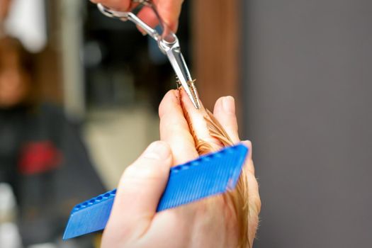 Haircut of red hair tips with comb and scissors by hands of a male hairdresser in a hair salon, close up