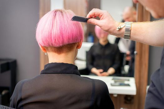 A hairdresser is combing the dyed pink short hair of the female client in hairdresser salon, back view