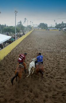 conde, bahia, brazil - january 7, 2022: Cowboys participate in a Vaquejada championship in the city of Conde. The event is a cultural tradition in Northeast Brazil.