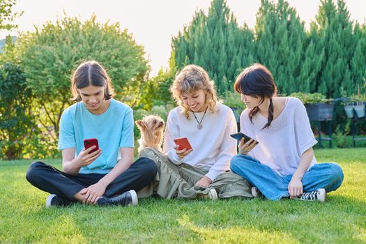 Group of teenagers sitting on grass with smartphones. Three teenage friends relaxing on lawn, sunny summer day, using mobile applications for leisure. Lifestyle technology and friendship youth concept