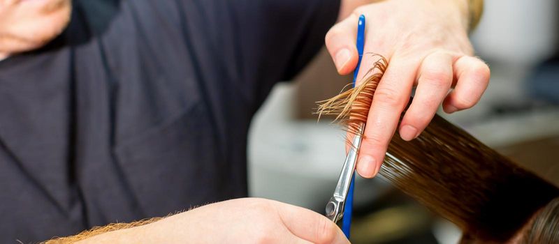 Hands of hairdresser hold hair strand between his fingers making haircut of long hair of the young woman with comb and scissors in hairdresser salon, close up