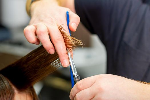 Hands of hairdresser hold hair strand between his fingers making haircut of long hair of the young woman with comb and scissors in hairdresser salon, close up