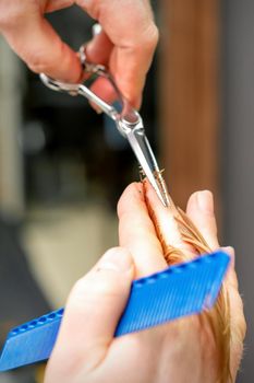 Haircut of red hair tips with comb and scissors by hands of a male hairdresser in a hair salon, close up