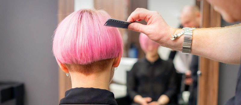 A hairdresser is combing the dyed pink short hair of the female client in hairdresser salon, back view