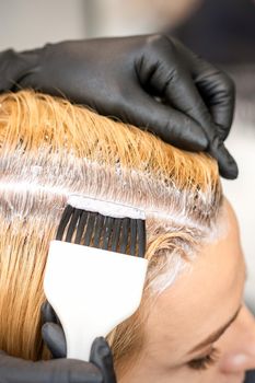 The hairdresser is dyeing blonde hair roots with a brush for a young woman in a hair salon