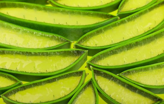 Close up background of fresh green Aloe Vera slices full of juicy gel, high angle view