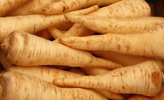 Close up many parsnip roots on retail display of fresh food market, high angle view,