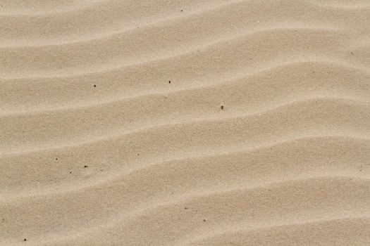 Patterns in the sand on South Padre Island, TX.