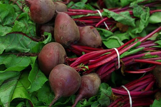 Close up heap of many fresh washed new red beetroot bunches with greens at retail display of farmer market, high angle view