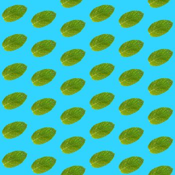 Seamless pattern of fresh green mint leaves on vivid blue background