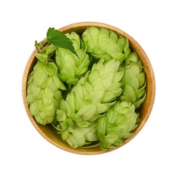 Close up one wooden bowl of fresh green hops isolated on white background, elevated top view, directly above