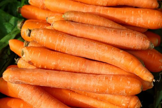 Close up heap of many fresh washed new farm carrot at retail display of farmer market, high angle view