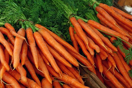 Close up heap of many fresh washed new farm carrot bunches at retail display of farmer market, high angle view