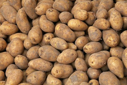 Close up heap of many fresh new farm potato at retail display of farmer market, high angle view