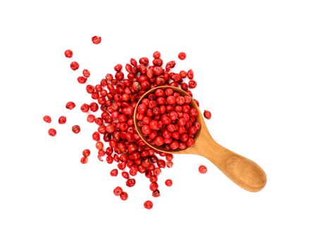 Close up one wooden scoop spoon full of red pink pepper peppercorns spilled and spread around isolated on white background, elevated top view, directly above