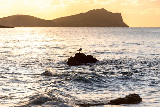 Beautiful sunshine in Aigues Blanques, Ibiza, Spain.