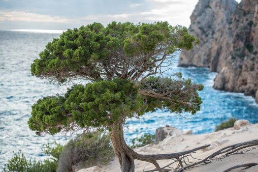 Ibiza, Spain - september 1 2019: Sa pedrera de Cala de Hort, Atlantis at late afternoon