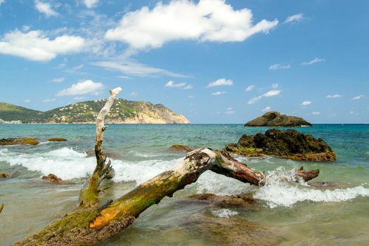 Aigues Blanques, Santa Eulalia des Riu, Ibiza, España : 2015 june 28 : Beautiful day in Aigues Blanques, Santa Eulalia des Riu, Ibiza.