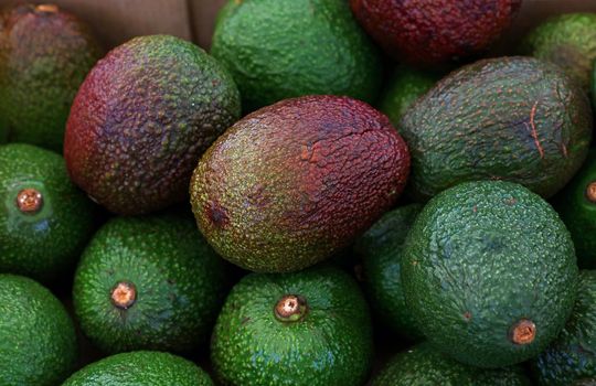 Close up many fresh ripe ready to eat green and purple avocado at retail display of farmer market, high angle view