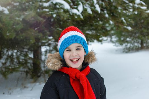 Portrait of a happy boy in bright winter clothes and a red scarf stands during a snowfall in a winter park with pine trees