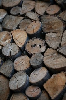 Cutted wood ready for fire close up background modern high quality prints