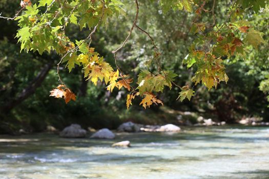 Acherontas river exploring Greece holidays mood summer traveling amazing Greek nature scape background in high quality big size print