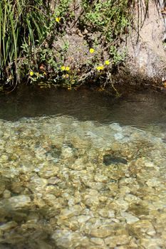 Acherontas river exploring Greece holidays mood summer traveling amazing Greek nature scape background in high quality big size print