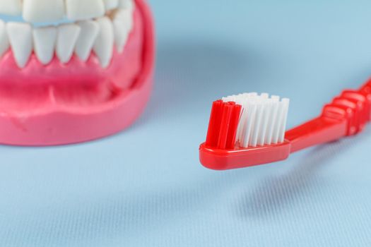 Close-up view of a toothbrush and a human jaw layout on the background.