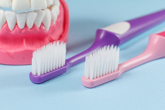 Close-up view of toothbrushes and a human jaw layout on the background.