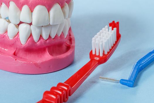Close-up view of a toothbrush, an interdental brush and a human jaw layout on the background.