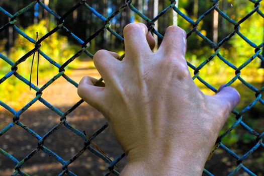 A woman's hand close-up holds on to a metal mesh. The concept of freedom.