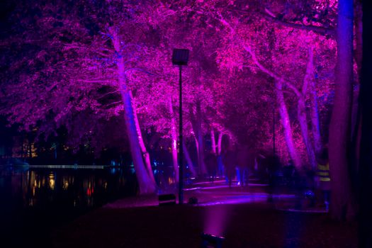 Neon light night show in a park on a city lake in Genk, Belgium, trees illuminated in a mesmerizing blue-purple color are reflected in the water. High quality photo