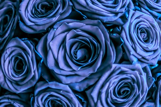 Blooming rose, flower blossom and Valentines Day gift concept - Glamour luxury bouquet of blue roses, flowers in bloom as floral holiday background