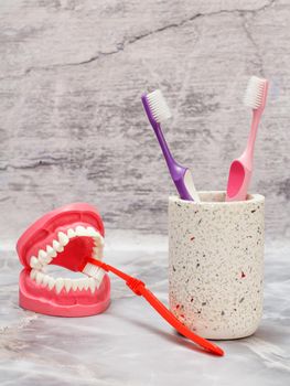 Stone can with toothbrushes. Layout of the human jaw and a toothbrush on the gray background.