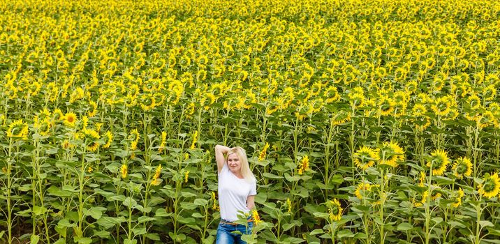 young beautiful woman between sunflowers
