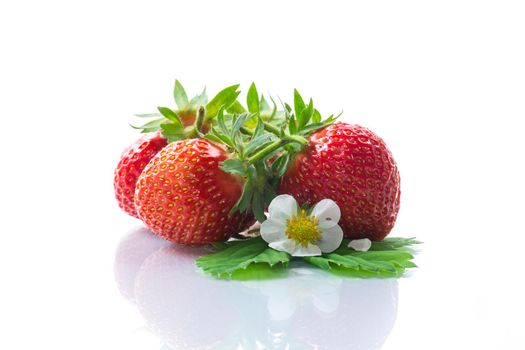 fresh ripe organic red strawberry isolated on white background