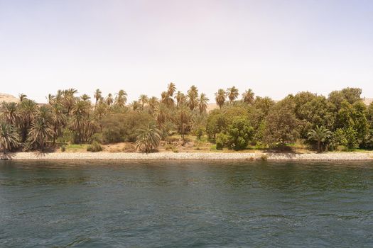 Nile river landscape and the river bank in Egypt