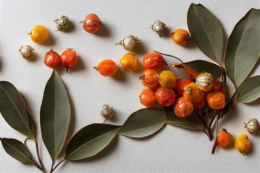 Autumn composition Physalis flowers, eucalyptus leaves, rowan berries on white background Autumn, fall, thanksgiving day concept Flat lay, top view, copy space , anime style