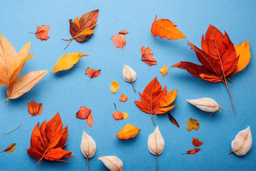 Autumn composition Dried leaves, cotton flowers on pastel blue background Autumn, fall, winter concept Flat lay, top view, copy space , anime style