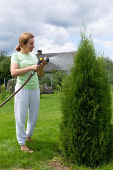 young woman caring for coniferous plants in the garden Fielding them with water from a hose.