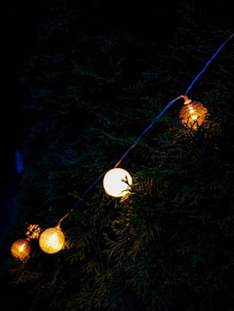 Small glowing light balls hanging on a tree